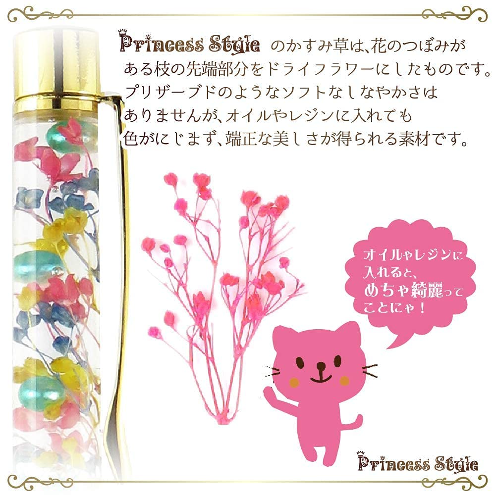 Amazon.co.jp: Princess-style ミニかすみ草 ドライフラワー 小分け